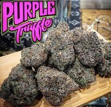 Purple Truffle strain with graphic