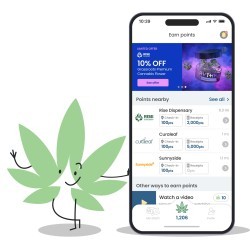 highrewards cannabis app