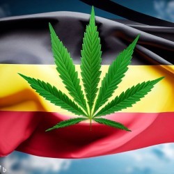 mobile image of cannabis legalization in Germany