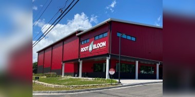 Root and Bloom banner