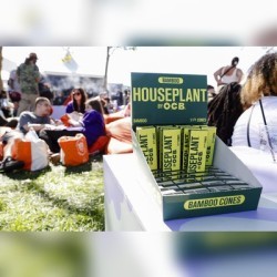 OCB Rolling Papers Sets World Record