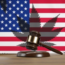 The US cannabis reclassification