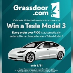 Grassdoor Tesla Give-away square