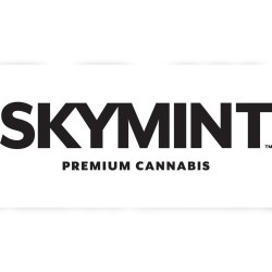 Skymint logo mobile