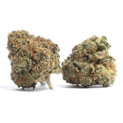 Lemon Cherry Runtz Strain image