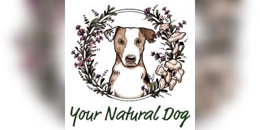 Your Natural Dog event banner