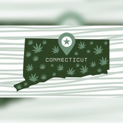 Cannabis map in CT for mobile graphic