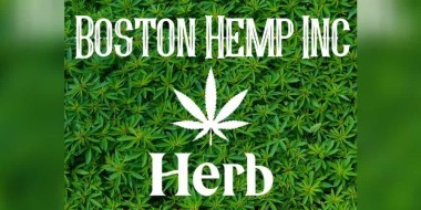 Boston Hemp banner