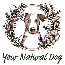 Your Natural Dog event