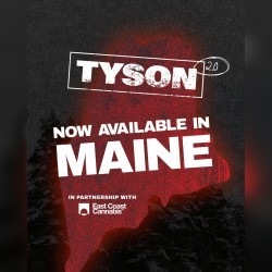 Tyson 2.0 photo for Maine