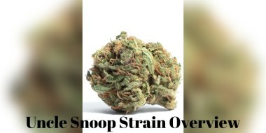 Uncle Snoop Strain banner large