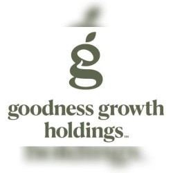 Goodness Growth square