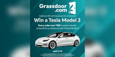 Grassdoor Tesla Give-away banner