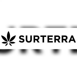 Surterra logo mobile