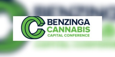 Benzinga logo banner