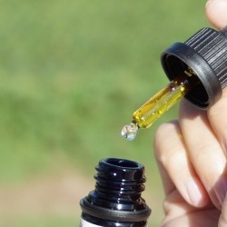 Cannabis liquid in a bottle