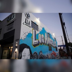 Illa canna store in LA