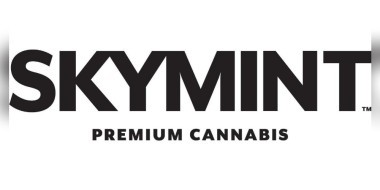 Skymint logo banner