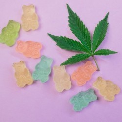 cannabis leaf square