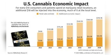 Cannabis economic impact banner