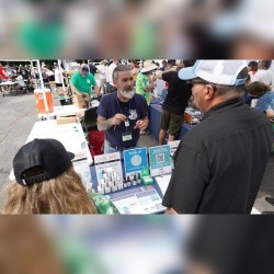 New York cannabis market square