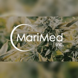 MariMed banner mobile