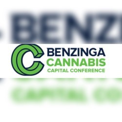 Benzinga logo