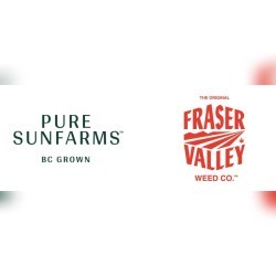 Pure Sunfarms banner mobile